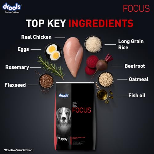 Image of Drools Focus Premium Puppy Dry Dog Food, 100 g Pack