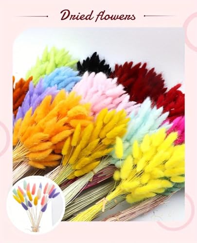Pampas Grass Decor Tall 60Pcs Flores Secas Decorativas miniatura 3