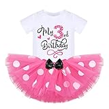Mouse 3rd Birthday Outfits for Toddler Girls T-Shirt Top Polka Dots Mini Tutu Skirt Headband Cake Smash Photo Props I'm Three Princess My Third Mouse Themed Birthday Party Supplies Hot Pink+Black 3T