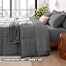 Bare Home Bed-in-A-Bag 5 Piece Comforter & Sheet Set - Twin XL - Goose Down Alternative - Ultra-Soft 1800 Premium Bedding Set (Twin XL, Grey/Grey)