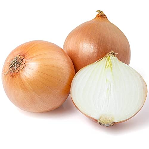 Onion Plants, 'Japanese', 12 x Plug Plant Pack, Vegetable Plants, White Onions, Onion Set, Garden Ready and Ready to Plant, Premium Quality Vegetables