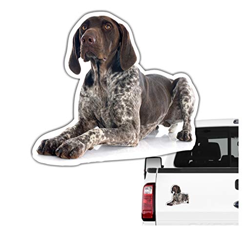 siviwonder Deutsch Kurzhaar DK Auto Aufkleber Photo Hundeaufkleber Dekor Hund Folie