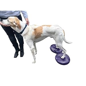 Dog balance disc cushion 14  with 2 exercises and pump  dog rehab exercise strength endurance conditioning fitness flexibility rehabilitation physical training tool for senior dogs   cucciolini doodles