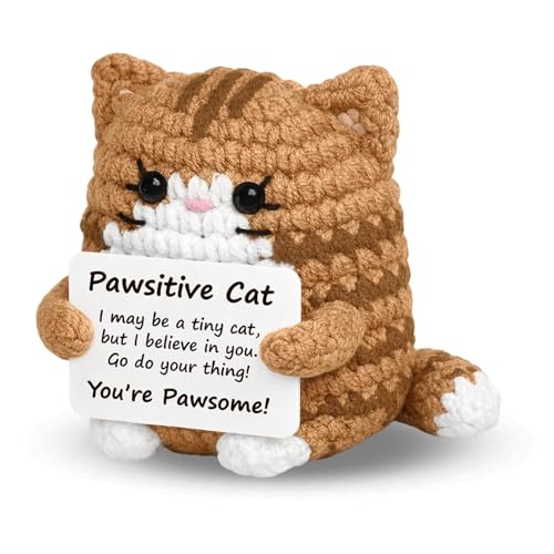 JazRvr Positive Katze, Gehäkelte Kuscheltiere, Glücksbringer...
