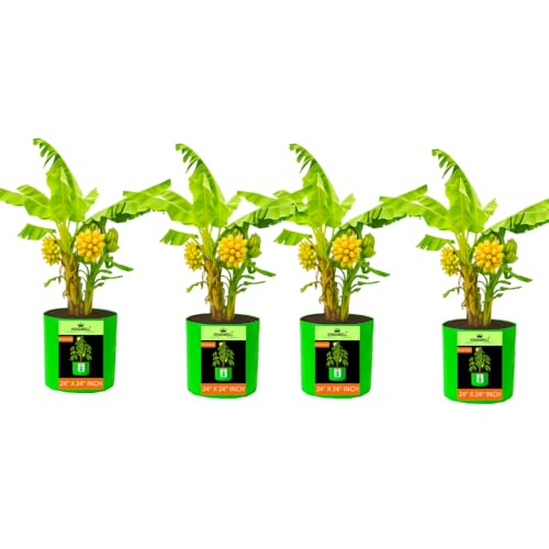 Image of Kingwell grow bags 24X24 inch pack of 4 For Terrace Garden Vegetable Plant Grow Bags Fruits Growing Containers For terrece Gardening
