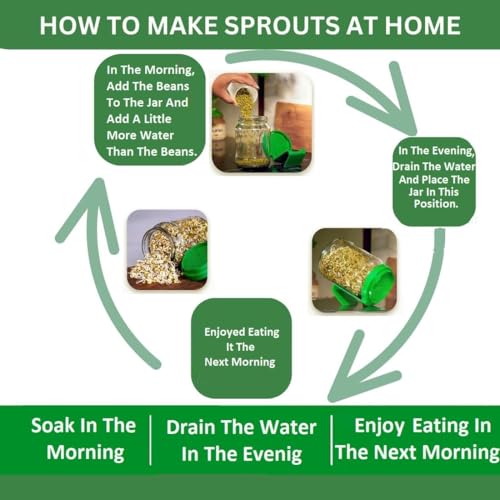 Image of Sprout Maker Glass Jar 1000ml - Wide Mouth Seed Sprouter for Mung Bean, Chana & Lentils | BPA-Free Reusable Sprouting Jar for Kitchen & Microgreens.