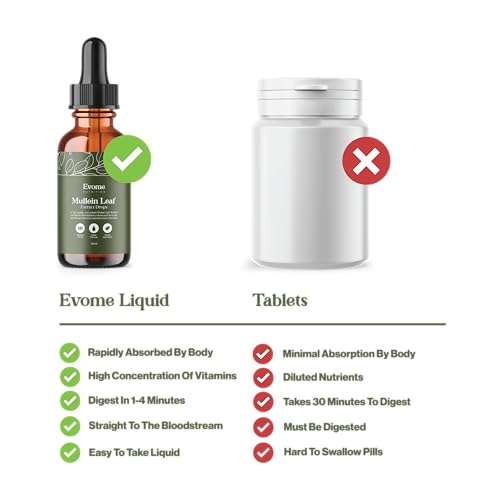 Evome Mullein Leaf Extract for Lungs 100ml (3 Month Supply) High Strength 1:3 Tincture Mullein Drops. Sublingual Fast Absorption - UK Made - Vegan - Image 6