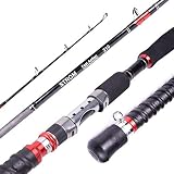 Hadristrasek Angelrute 3 Abschnitt Jigging Spinning Angelruten 2.1m Lure Wight 70-250g MH Salzwasser Boot Angeln Jigging Spinnrute-2.1m Teleskop Angelrute (Size : 1.8m)
