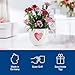 Villeroy & Boch Imagen de Villeroy & Boch