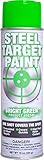 Steel Target Paint- 16 oz Aerosol Paint in a Can for Shooting Ranges, Shooting Clubs, Parks and Private Ranges and for Match Competition (Bright Green, 2 Pack)