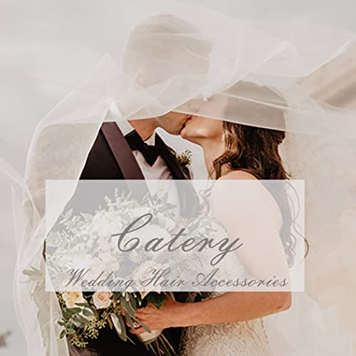 Catery Bride Wedding Leaf Hair Comb Silver Side Comb Bridal Hair Pieces Clips Greek Roman Laurel Leaf Headpiece Wedding Hair Accessories For Women And Girls (Silver) #TOP6