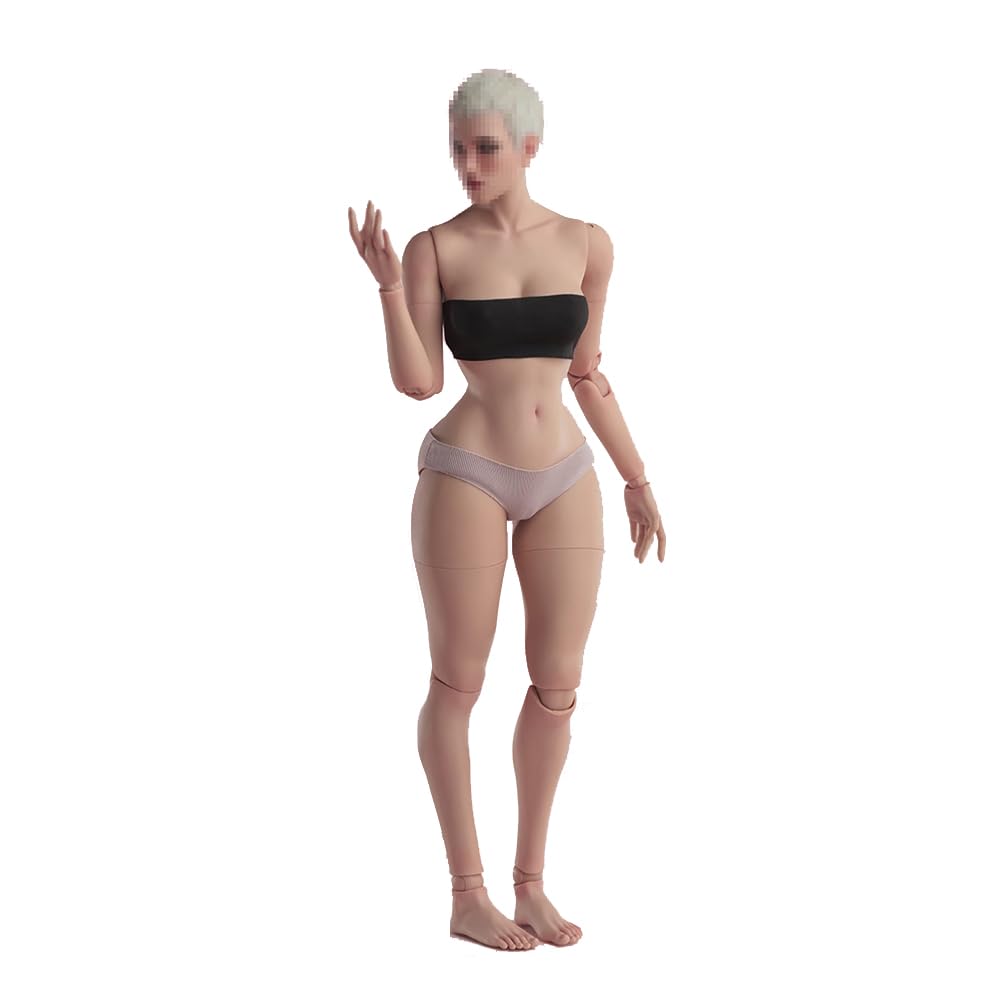 SOUFORCE 1/6 Scale Female Body Worldbox Wasp Waist Version 12inch Flexible Suntan Skin Miniature Action Figure Body Doll Collection Without Head Sculpt