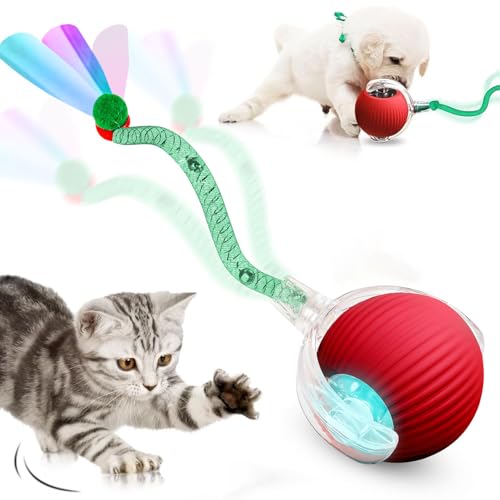 DAMIGHT Kattenbal speelgoed, interactief kattenspeelgoed voor binnenkatten, elektrische automatische rollende hondenbal met staart, USB oplaadbare bewegende slimme achtervolgingsspeelgoed voor katten