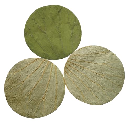 Rainlily Wen Dried Lotus Leaves Sushi Plate Decoration Round Shape 50 PCS Diameter for 8.5'' Food Wrapping Party Decoration Cooking Making Lo Mai GAI, Green