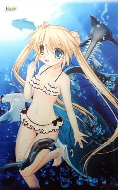Amazon.co.jp: 中津静流 タペストリー Rewrite リライト key
