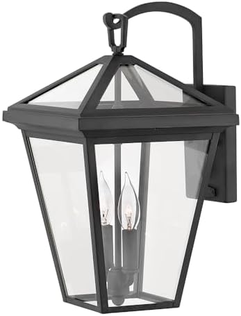 Hinkley Alford Place Medium Outdoor LED Wall Mount Lantern, Die Cast Aluminum Frame, Sealed Clear Glass, Dimmable, Museum Black