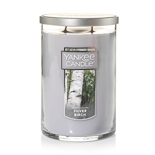 Yankee Candle Silver Birch Scented, Classic 22Oz Large Tumbler 2-Wick Candle, Over 75 Hours Of Burn Time #TOP2