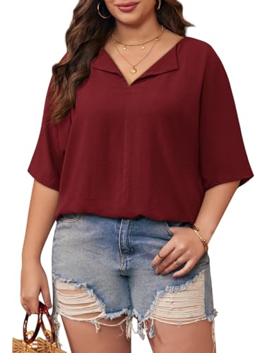 Lueluoye Womens Plus Size Tops Short Sleeve V Neck Tee Blouse Summer Loose Fit Casual Tunic Top XL-5XL3