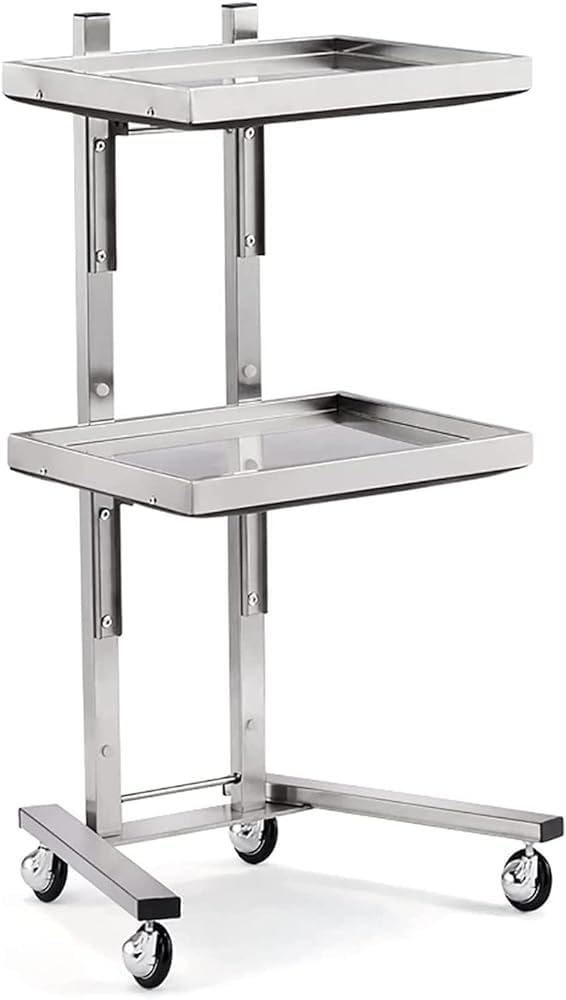 Chariot de rangement à roulettes inox pour gagner de la place