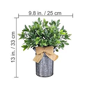 Winlyn 1 Pc Artificial Eucalyptus Leaves Plant in Rustic Galvanized Metal Milk Can Potted Greenery Arrangement for Farmhouse Wedding Table Centerpiece Tiered Tray Shelf Indoor Outdoor Country Decor Winlyn 1 Pc Artificial Eucalyptus Leaves Plant in Rustic Galvanized Metal Milk Can Potted Greenery Arrangement for Farmhouse Wedding Table Centerpiece Tiered Tray Shelf Indoor Outdoor Country Decor