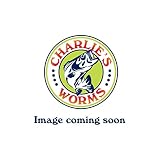 Charlie's Worms 10" Ribbon Tail Swimming Worm, Scented, Soft Bait for Freshwater Saltwater, 6pk (Bla