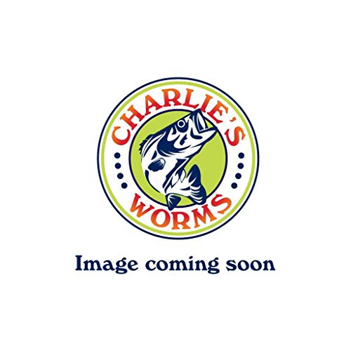 Charlie's Worms 10" Ribbon Tail Swimming Worm, Scented, Soft Bait For Freshwater Saltwater, 6Pk (Black Grape Green Glitter) #TOP2