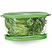 Prep Solutions by Progressive Lettuce Keeper Produce Storage Container, 4.7 Quarts