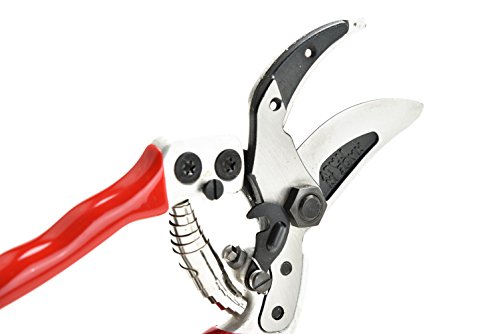 FALKET 1162 - Forbici per potatura professionali,taglio battente a lama curva.Ideale per potatura olivi. - 3