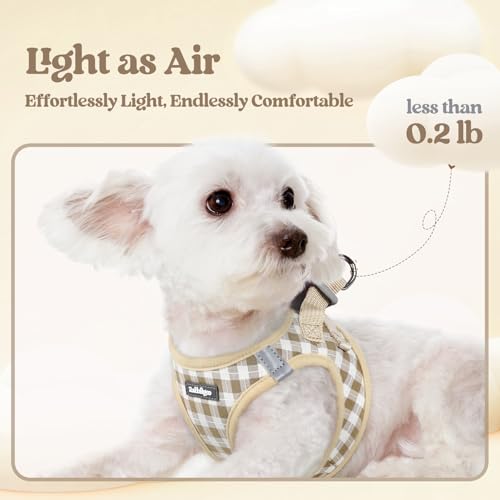 Image of rabbitgoo Dog Harness Small Sized and Leash Set, Step-in Puppy Pet Vest