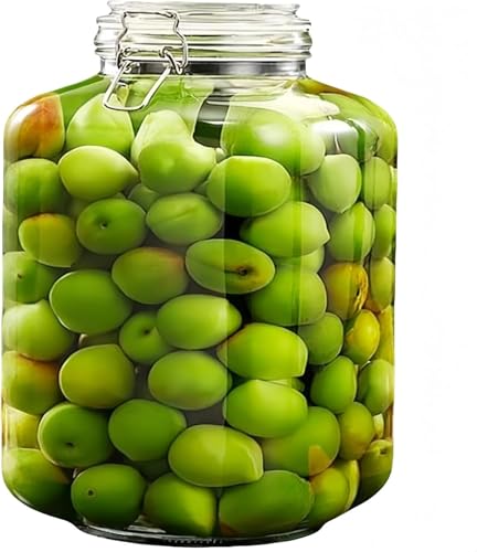 ʎт KX ~r r ۑe 2L?5L ApKXr t Cr e  }E~Ή r  e Hiۑp (4L,p^)