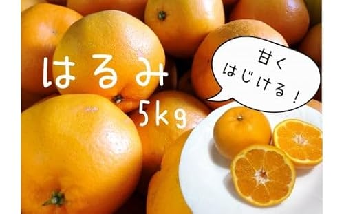 [先行予約_2025年2月上旬から発送]湯の花 はるみ5kg箱セット [ 5Kg はるみ みかん 果物 フルーツ 旬 柑橘 甘い 新鮮 ]