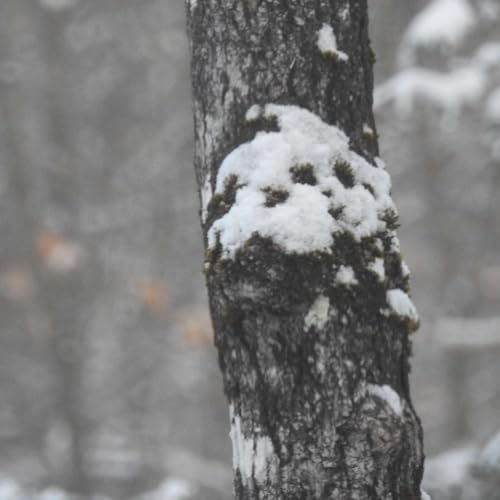 WHEN IMAGINATION TAKES OVER