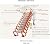Concertina Loft Ladder Alloy Attic Access Ladder Ceiling Attic Stairs with Handrails Folding Ladder Pull Down Attic Ladder Telescoping Ladder Can Bear 1100lb