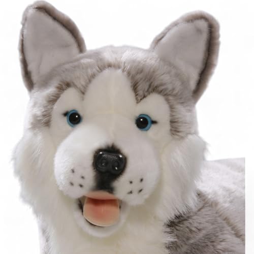 Peluche Husky couché 60cm Carl Dick 2703 grand doudou chien - 4