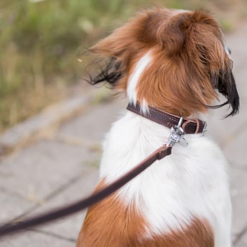 TRIXIE Hundeleine aus Leder Rustic Leine Leder M–L, 1,00 m 20 mm in dunkelbraun - Fettlederleine für Hunde im klassischen Design - für mittelgroße bis große Hunde - 19000