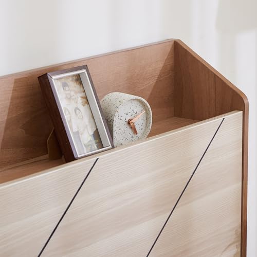 Image of Home Centre Leon Bond King Bed with Hydraulic Storage (PU Paint Finish) - Brown, Engineered Wood