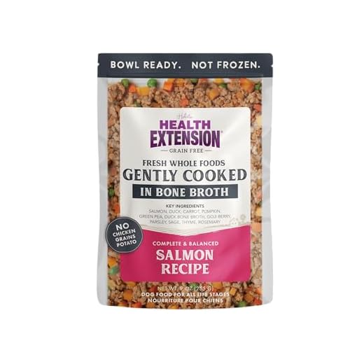 Health Extension Gently Cooked Grain-Free Salmon Dog Food, Human-Grade & Shelf-Stable with Superfoods, Supports Digestion, Immunity, Skin & Coat, 9 oz Pouch (Pack of 1)