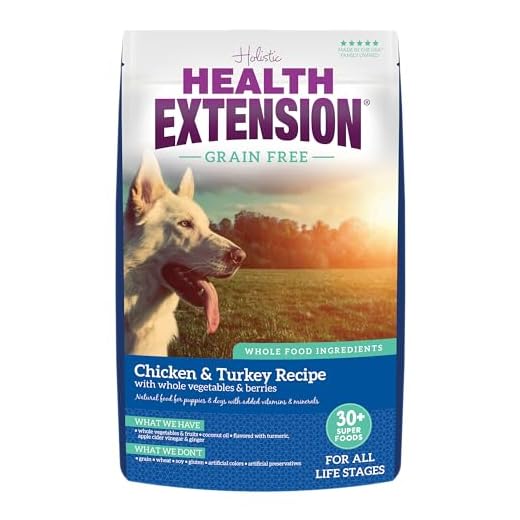 Health Extension Grain Free Chicken & Turkey Dry Dog Food - 30+ Superfoods and Probiotics for All Life Stages (1lb)