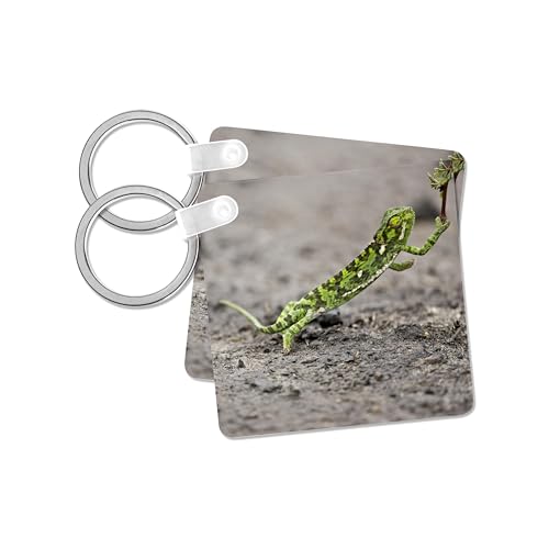 3dRose, Jacksons Chameleon lizard, Maasai Mara Kenya-AF21 JRE0263 - Joe Restuccia III, set of 4 Key Chains