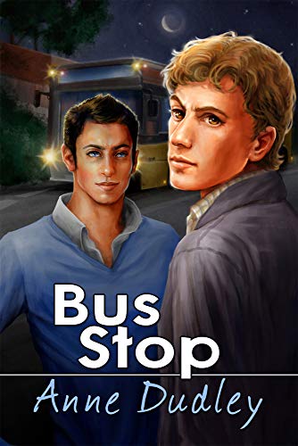 Bus Stop view 2