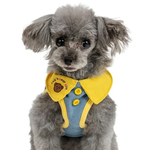 ybgp_CX ~jI  n[lX  ݕt fj xXgn[lX  ^ yQl SS gCv[h ps (`5kg) ybgp_CXcX72XܓWJ2025/10/1_z