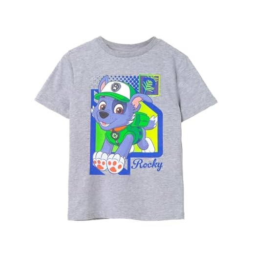 Paw Patrol Boys De Camiseta Gris | Diseño De Cachorros Rocosos | Mercancía Auténtica Camiseta Cómoda Y Elegante para Jóvenes Amigos Ecológicos