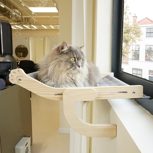 Gimnasio Para Gatos Percha De Ventana Para Gato Mu00e9xico