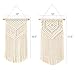 Dahey 2 Pcs Macrame Wall Hanging Small Woven Tapestry Wall Art Decor - Beautiful for Boho Home Dorm College Classroom Decor, Apartment, Nursery, Party Decorations, 16.5