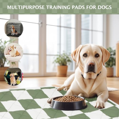 Image of IEUUMLER Washable Pee Pads for Dogs, 2 Pack Non-Slip & Waterproof Pack Whelping Pad, Reusable Puppy Potty Training Pad with Fast Absorbent for Playpen EU007 (Green&White, 24 inchX18 inch-2pcs)