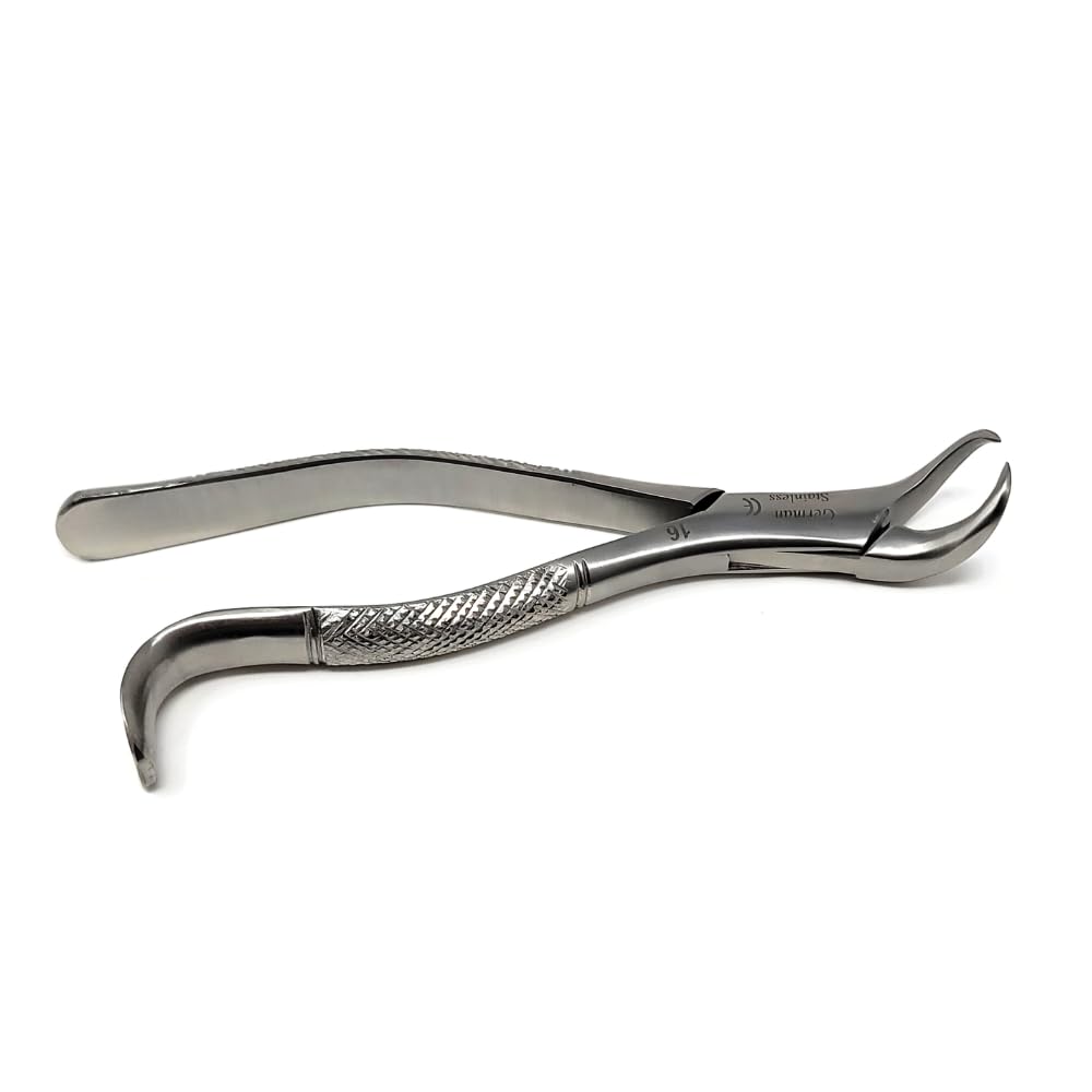 HTI Dental Extracting Forceps #16 Cow-Horn Beak Stainless Steel Dentistry Instrument Student Training for Tooth Extraction