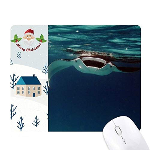 I[VECEXP[gȊw͎R̎ʐ^ T^N[XƉS̃}EXpbh