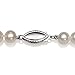 Belacqua Cultured Freshwater 7.0-8.0 mm Pearl 36