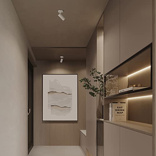 Aisilan Adjustable Ceiling Spotlight Replaceable Dimmable Gu10 Bulb Monopoint Spot Light White 7W 3000K Directional Focus Light For Living Room Bedroom Corridor Restaurant Ms017Aw7W3Kdim #TOP5
