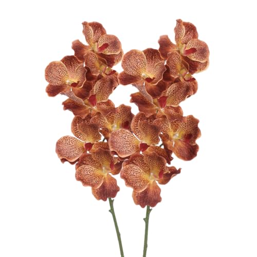 BQEE Real Touch Vanda - Tallos de orquídea Vanda, 2 piezas de 7 cabezas de orquídeas de mariposa sintética de 80 cm, flores artificiales suaves y húmedas para ramos de boda, arreglos de novia